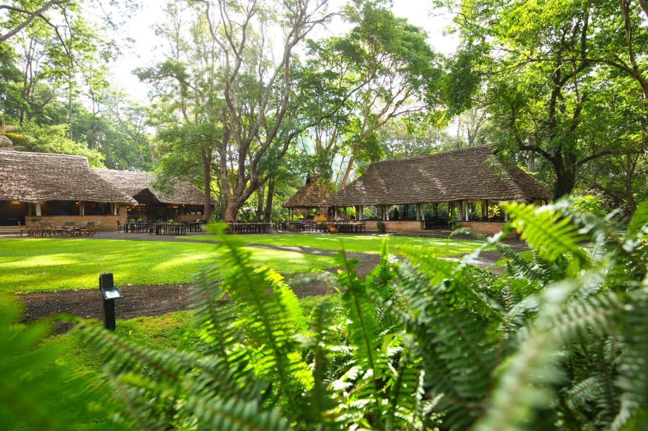 Rivertrees Country Inn Usa River المظهر الخارجي الصورة