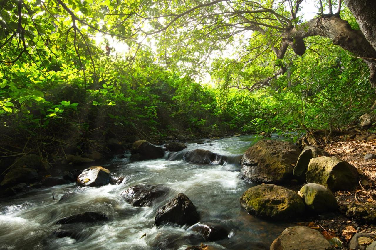 Rivertrees Country Inn Usa River المظهر الخارجي الصورة