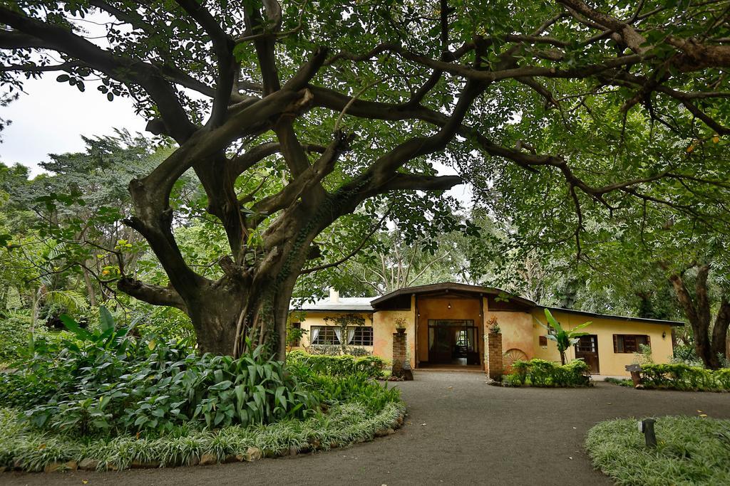Rivertrees Country Inn Usa River المظهر الخارجي الصورة